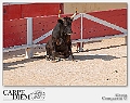 316-1620 x 1080---16L Camargue_3069